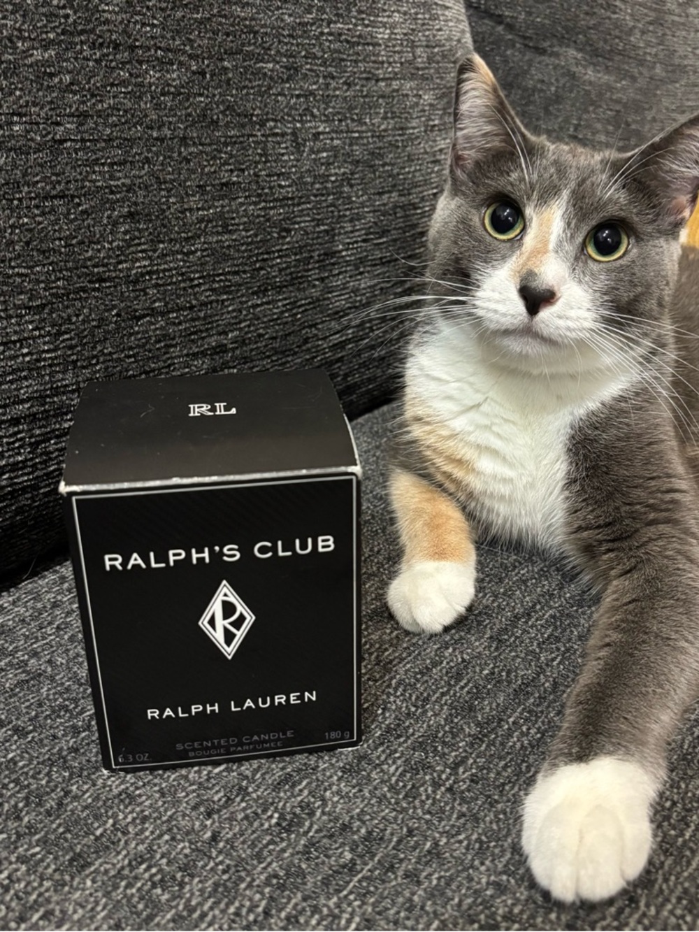 Ralph Lauren Black Ralph's Club Scented Candle - Picture 7 of 9